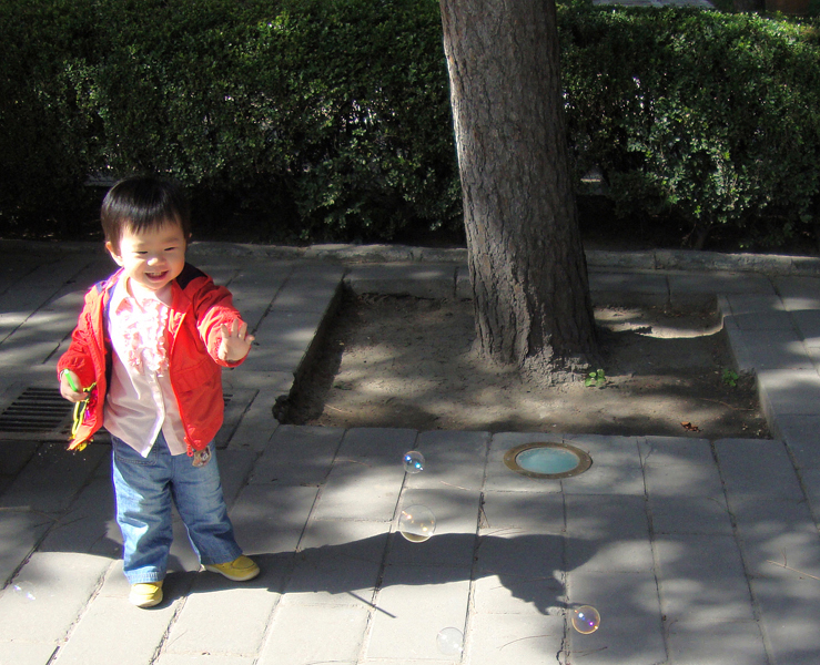 40 Beijing Ritan Park